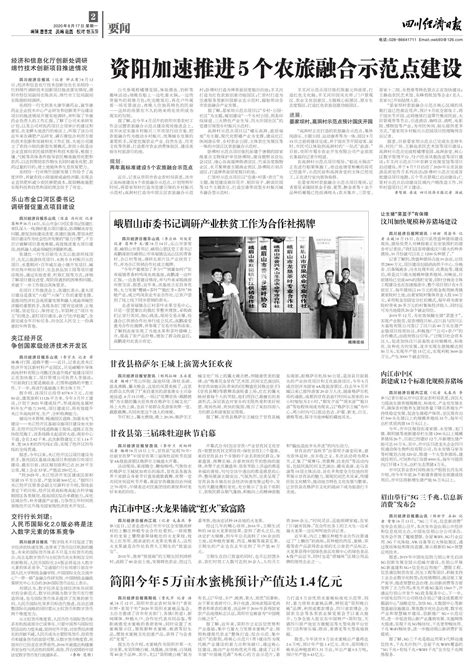 眉山举行“5G三千兆，信息新消费”发布会--四川经济日报