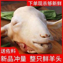 【枣庄羊肉】_枣庄羊肉品牌/图片/价格_枣庄羊肉批发_阿里巴巴
