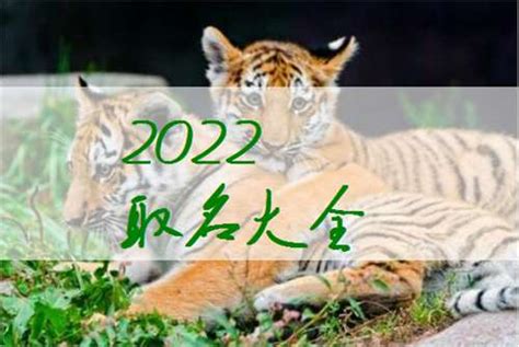 2022年3月出生的虎宝宝取名叫什么好(2022年2到3月份生的孩子起名叫什么好)