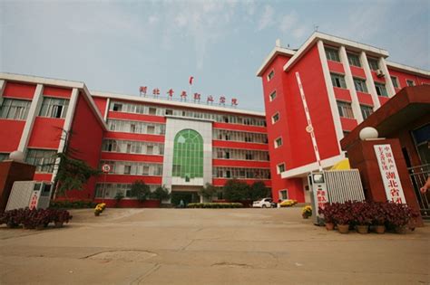 武汉市职业技术学院招生网