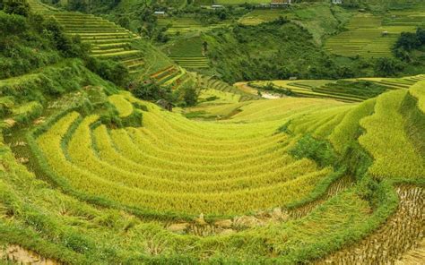 农村风景美的说说