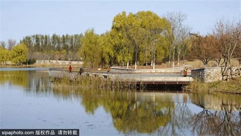 人少 免费 秋色美！北京藏着个“巨无霸”公园，相当于5个奥森