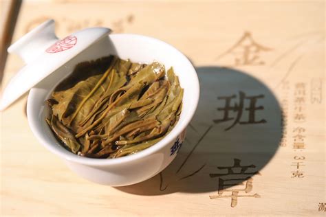 普洱茶是一种什么茶?