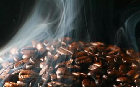 咖啡豆怎么煮最好喝
