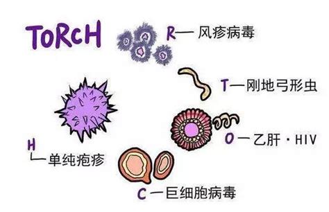 备孕前检查什么时候去最合适