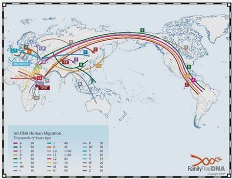 燕子的迁徙路线图(精选43句)