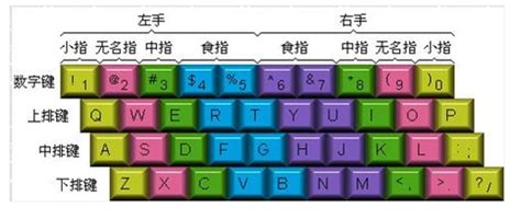 求电脑打字软件就是学校电脑里给学生练字的软件(不要金山)