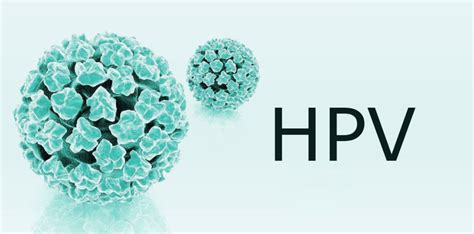 感染hpv33阳性能自愈吗