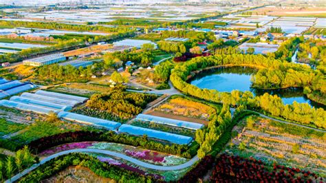 拼多多农场怎么进多多果园里的农场在哪