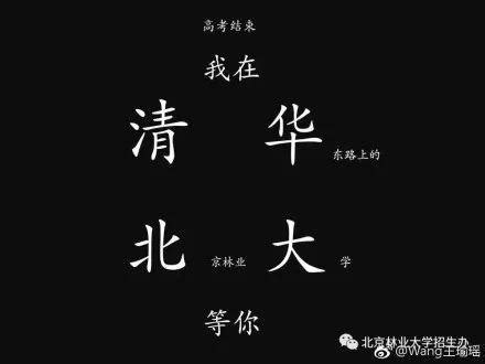 等你在清华北大适合多大孩子看