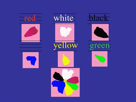 英语形容词图片分享1 色彩鲜艳 一目了然