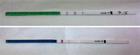 怀孕多久可以用试纸查出来结果