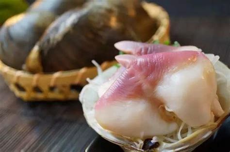 日本料理寿司里的北极贝和章鱼是生的熟的?