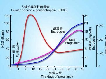 怀孕初期葡萄胎hcg值参考范围