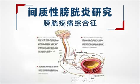 经前期综合征有哪些症状流鼻血