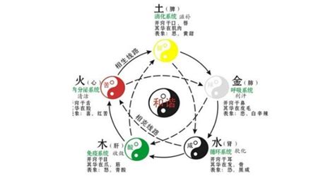 五行喜木怎么补