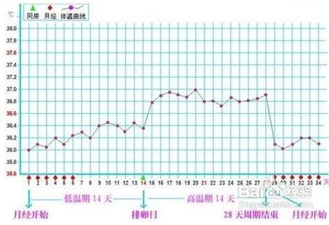 怀孕初期体温