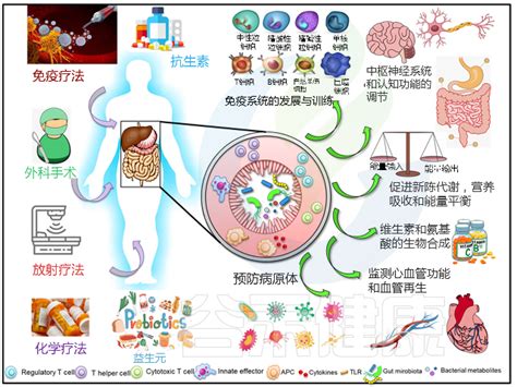 性无能的治疗方法