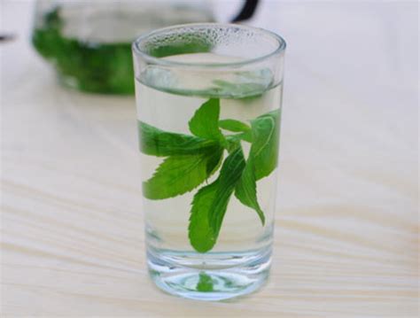 柿子叶泡水喝的功效和作用