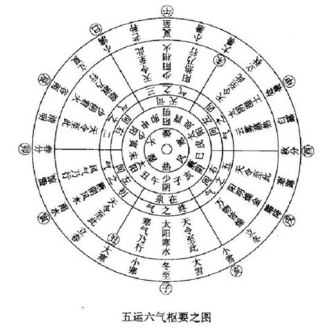 日干五行属于什么