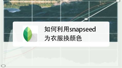 Snapseed修图工具有哪些功能