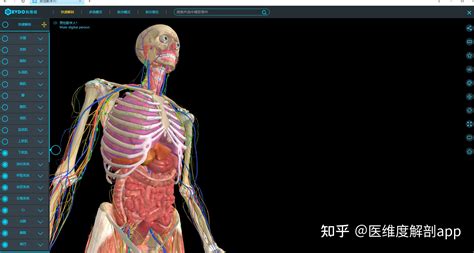 有没有适合医学生学习解剖的3D软件