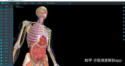 有没有适用于医学生学解剖用的三维软件 比如说3DBODY那种 要免费的或是破解版 最好可以离线使用