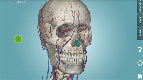 bonelab骨骼与肌肉解剖软件