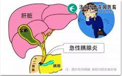 胰腺炎最怕吃什么食物