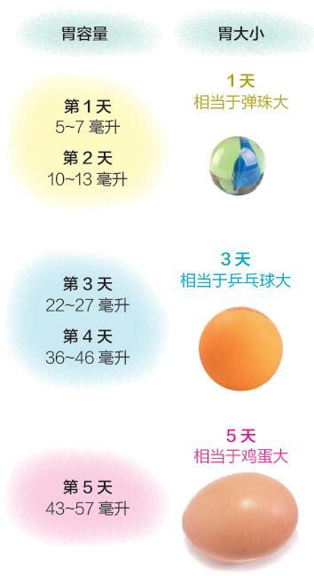 新生宝宝的胃消化功能并不发达