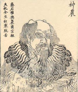 我和神农过一天-想象作文800字[精选9则]