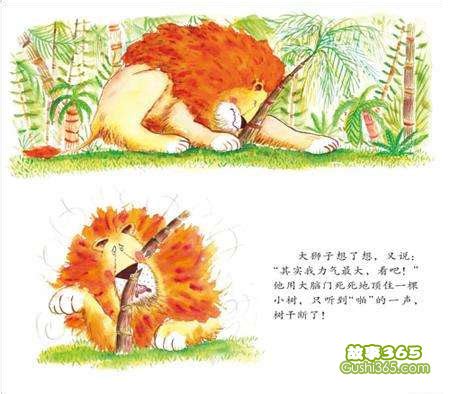 狮子糟糕的发型绘本