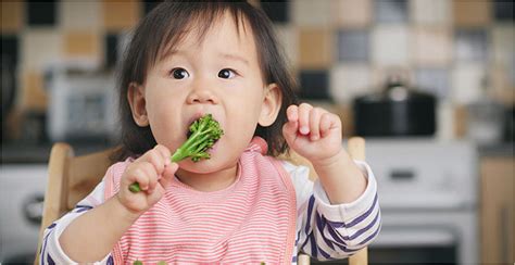 孕期营养逐月补充