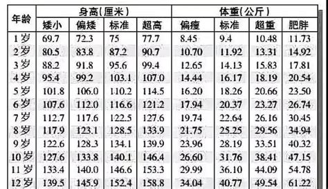 2022年龄划分新标准