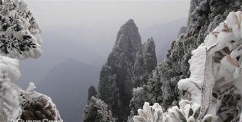 郴州莽山旅游攻略!