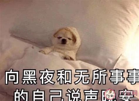 说说睡不着觉的句子(合集72条)