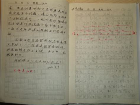 想对妈妈说_小学作文300字（集锦4篇）