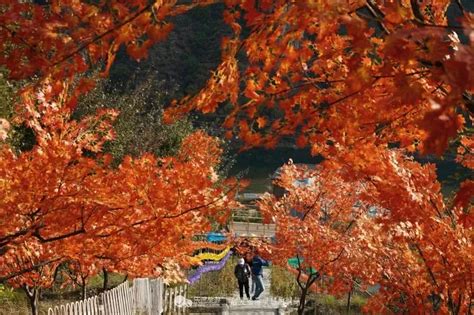 冬天的房山十渡：依然是京郊旅游胜地，野生动物的乐园
