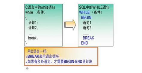 C语言中的for 循环