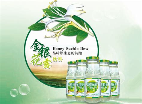 金銀花露的下載
