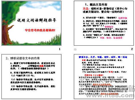 我的特长_说明文作文900字【共计4篇】