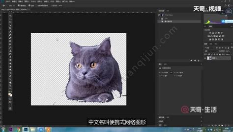 热键SFX是哪个
