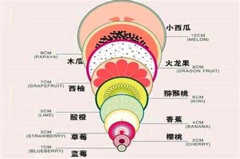 日干指的是什么