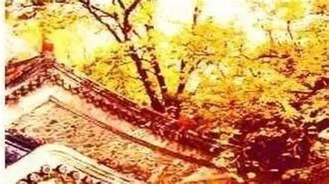 南疆才是真正的秋天天堂景色