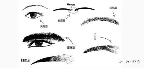 掃帚眉的男人人品怎樣