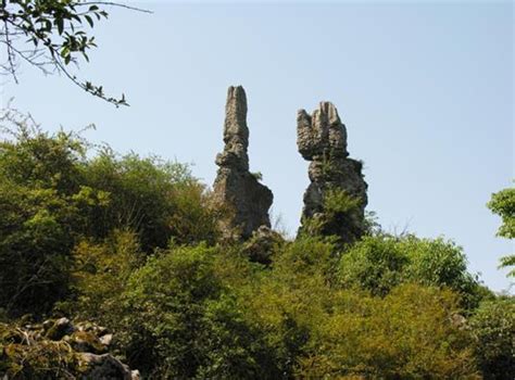 螽蟴 怎么读