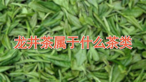 龙井茶属于什么茶?绿茶?