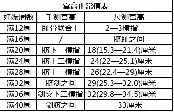 胎儿17周发育标准对照表