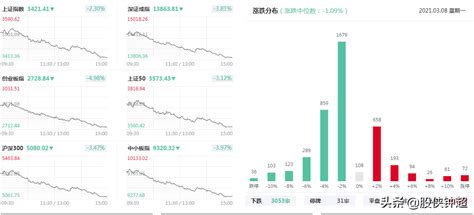 中国软件股票当年为什么会暴跌呢?