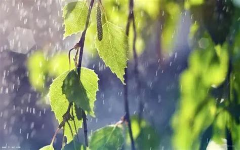 夏天的雨说下就下的说说